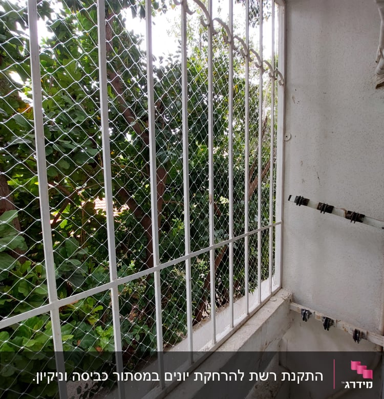 רשת מתכת על חלון למניעת כניסת יונים